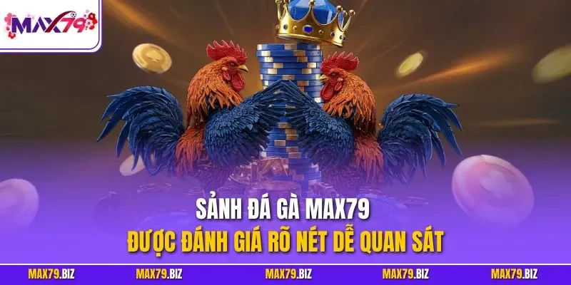 Sảnh đá gà MAX79 được đánh giá rõ nét dễ quan sát